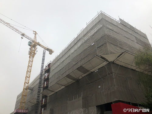 实探 徐汇600米地铁站,出现个全新盘