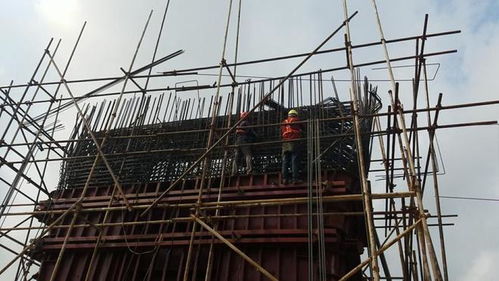 1433万大桥突然坍塌,无一根钢筋 大货车 这锅我不背