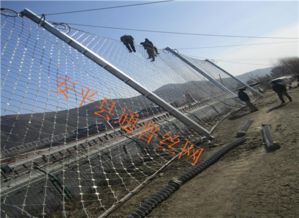 拦碎石被动防护网 拦碎石被动防护网安装